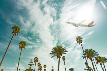 Jet plane over palm trees